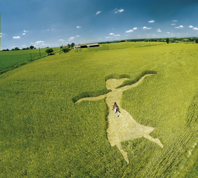 Laurent Seroussi - visuel franck 40-30.jpg