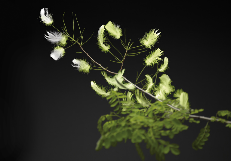 Laurent Seroussi - 06 - renanluce SEROUSSI SITE.jpg