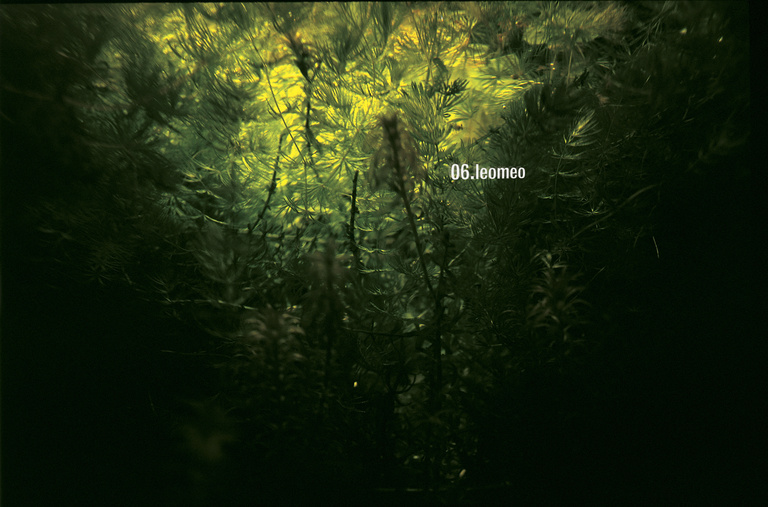 Laurent Seroussi - 06.leomeo.jpg