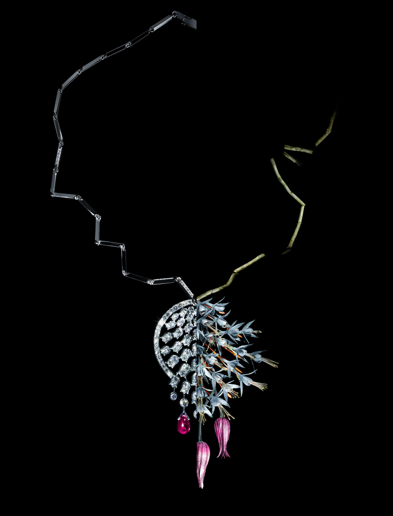 Laurent Seroussi - CARTIER collier7-def1-rvb.jpg