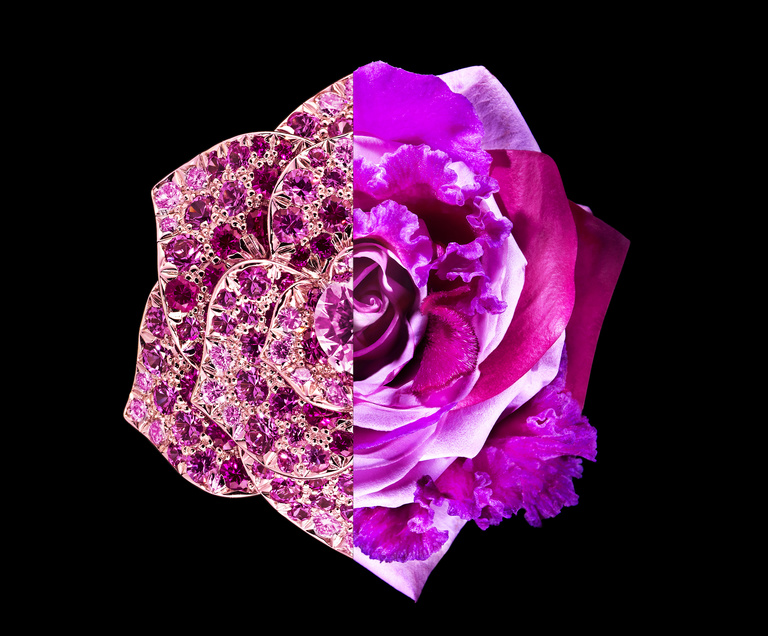 Laurent Seroussi - PIAGET bague-def1-rvb.jpg