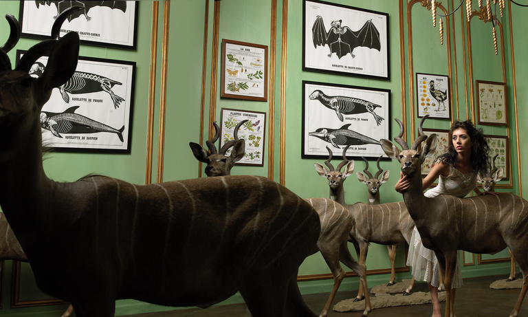 Laurent Seroussi - Nolwenn + antilopes.jpg