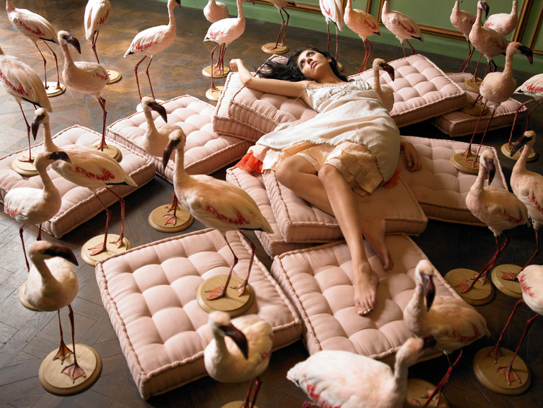 Laurent Seroussi - Nolwenn + flamands.jpg