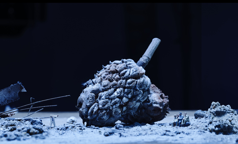 Laurent Seroussi - Fleurs fin du monde 1 close.jpg