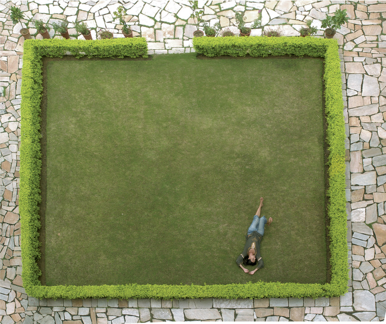 Laurent Seroussi - Zazie sur carré vert 1.jpg