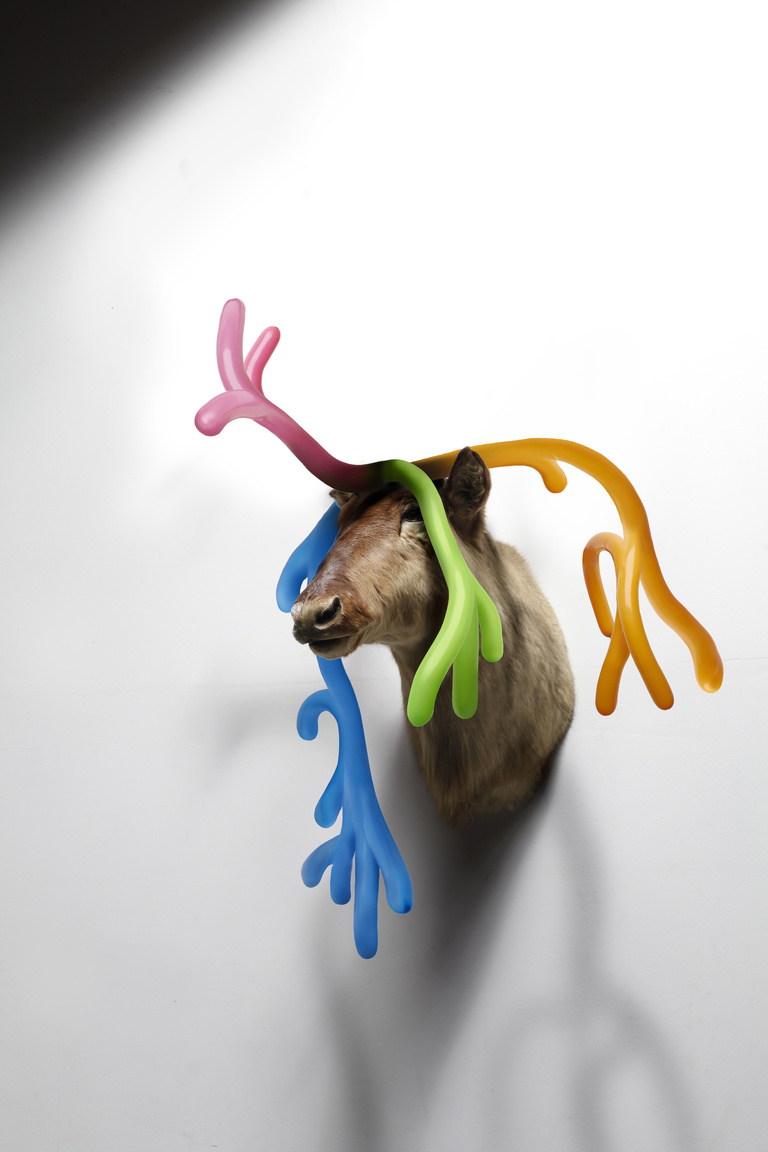 Laurent Seroussi - CERF montage 3.jpg