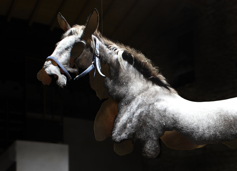 Laurent Seroussi - MONTAGE cheval ZOOM.jpg