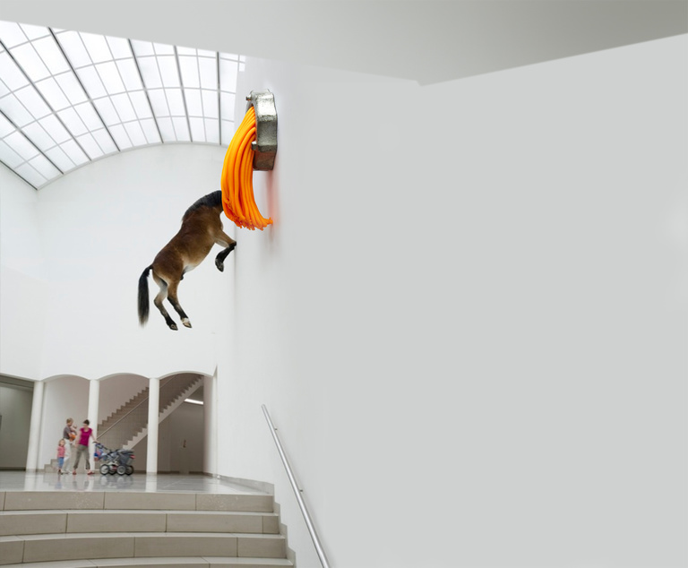 Laurent Seroussi - Pony Tail B.jpg