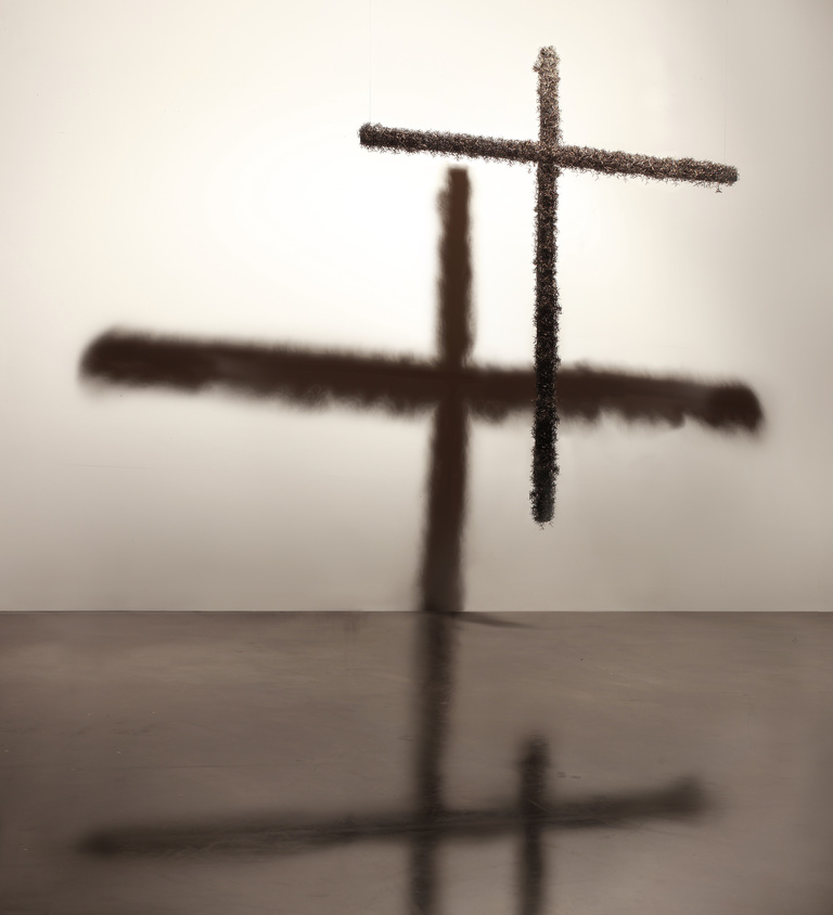 Laurent Seroussi - HOOK FACE  LARGE.jpg