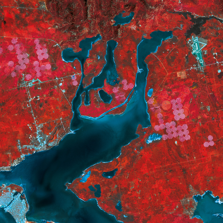 Laurent Seroussi - Visuel Détail.jpg