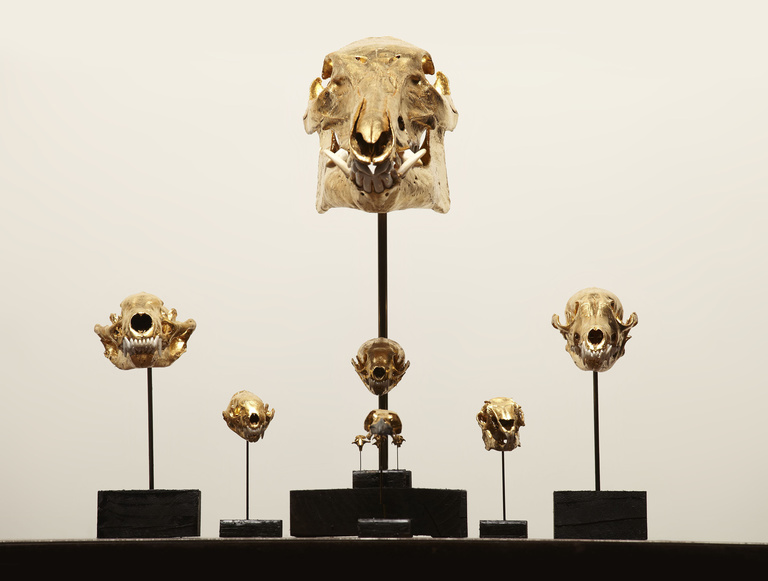 Laurent Seroussi - Nuisibles face bas 2.jpg