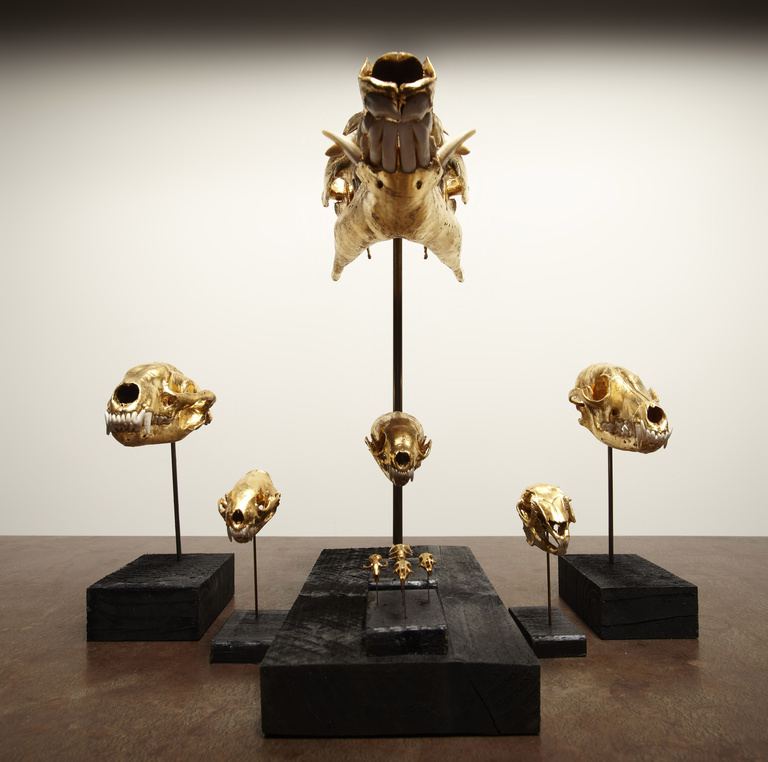 Laurent Seroussi - Nuisibles face bas.jpg