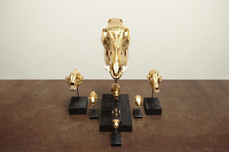 Laurent Seroussi - Nuisibles face.jpg