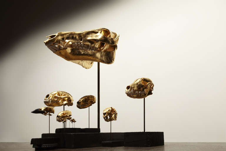 Laurent Seroussi - Nuisibles profil bas.jpg