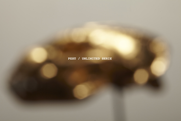 Laurent Seroussi - Pest unlimited blur.jpg