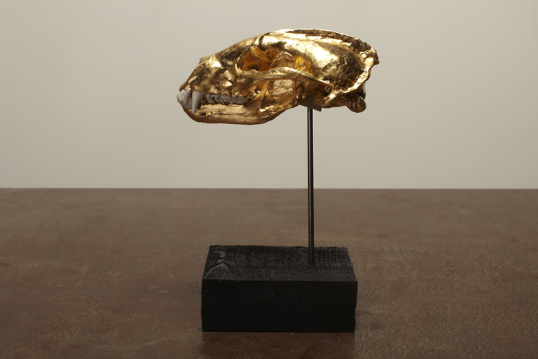 Laurent Seroussi - Pest#2A.jpg