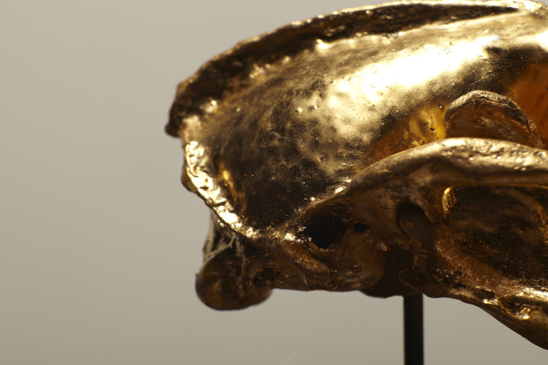 Laurent Seroussi - Pest#2A1.jpg