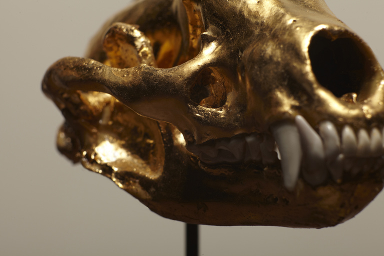 Laurent Seroussi - Pest#2D.jpg